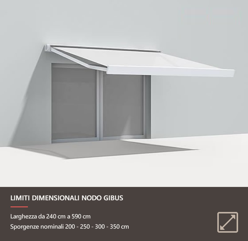 Nodo Gibus